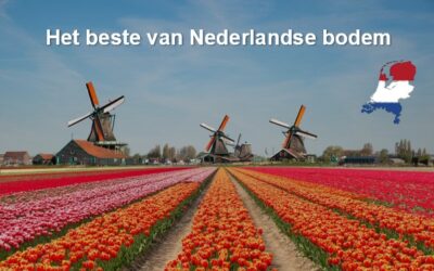 WeTransfer onder vuur: tijd voor een Nederlands alternatief?